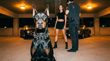 Obsidian Spike Collar